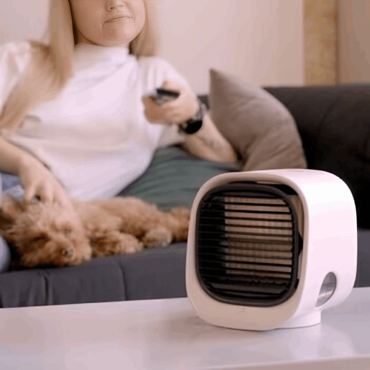 AiraBreeze customer~Cloe A. – Illinois, USA